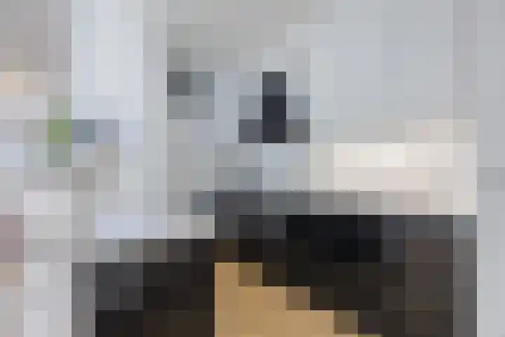 Snipdonk 7 Veghel foto 3