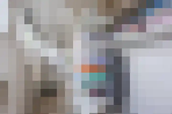 Snipdonk 7 Veghel thumbnail 33
