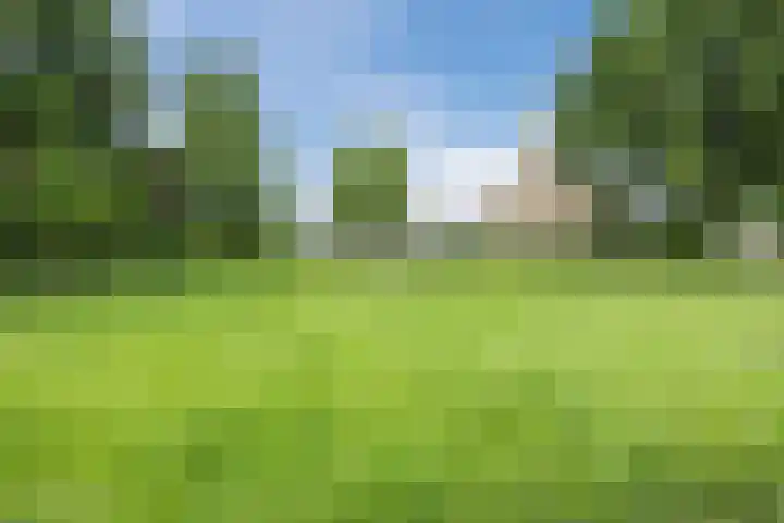 Snipdonk 7 Veghel thumbnail 39