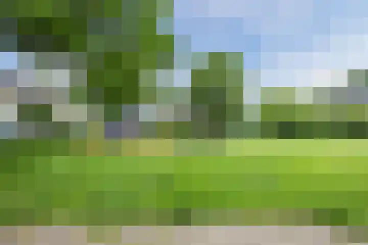 Snipdonk 7 Veghel thumbnail 40