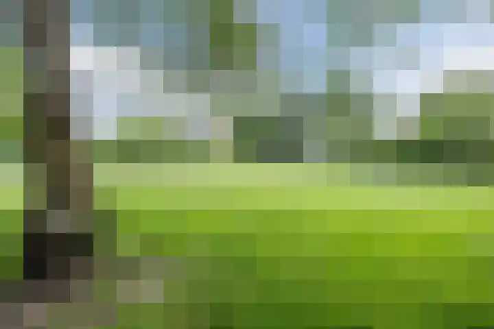 Snipdonk 7 Veghel thumbnail 41