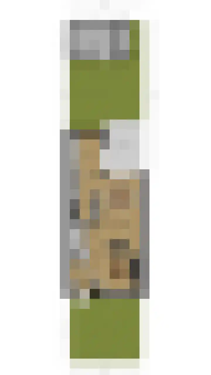 Snipdonk 7 Veghel thumbnail 42
