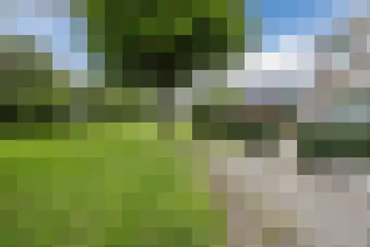 Snipdonk 7 Veghel thumbnail 8
