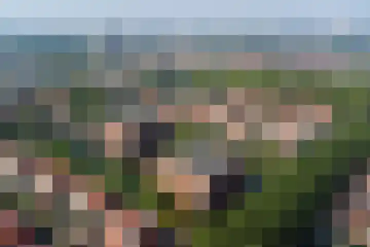 Snippengat 42 Gorinchem thumbnail 32