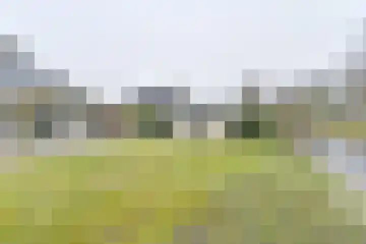 Snippenveld 15 Emmen thumbnail 101