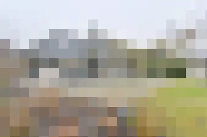 Snippenveld 15 Emmen thumbnail 102