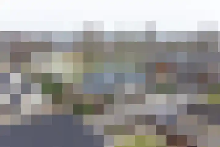 Snippenveld 15 Emmen thumbnail 106