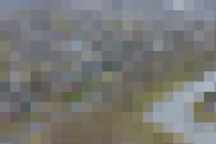 Snippenveld 15 Emmen thumbnail 107