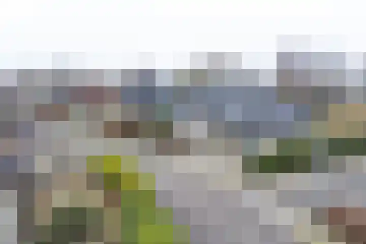 Snippenveld 15 Emmen thumbnail 114