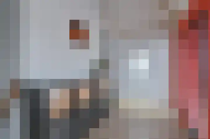 Snippenveld 15 Emmen thumbnail 54