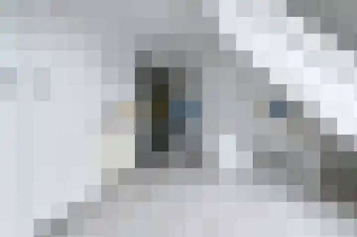 Snippenveld 15 Emmen thumbnail 65