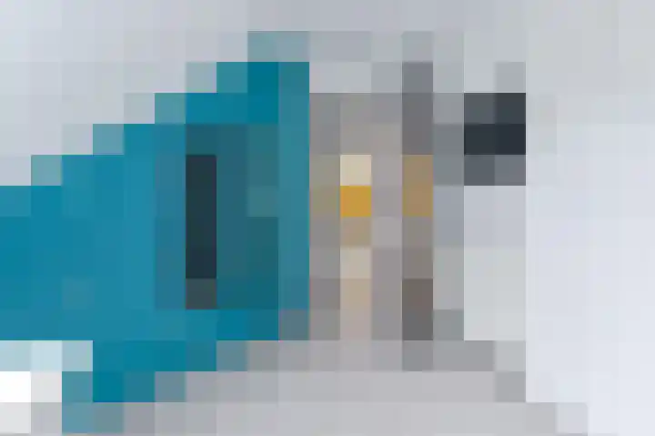 Snippenveld 15 Emmen thumbnail 69