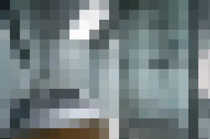Snippenveld 15 Emmen thumbnail 71