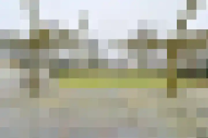 Snippenveld 15 Emmen thumbnail 91