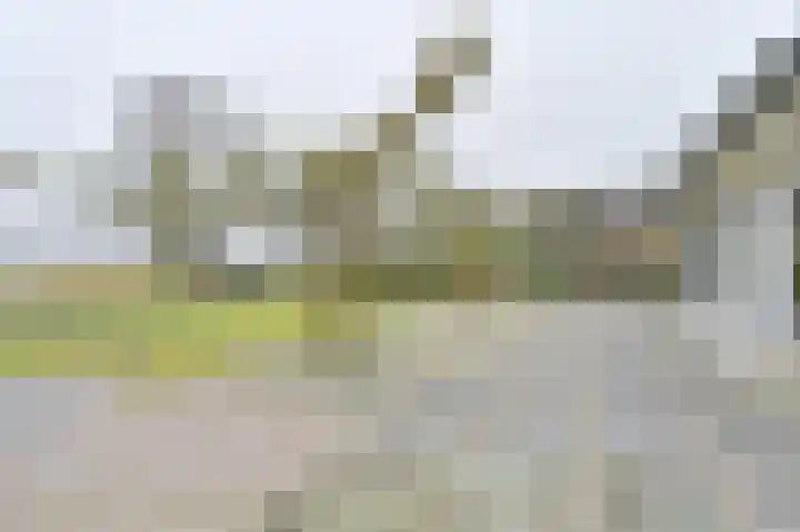 Snippenveld 15 Emmen thumbnail 92