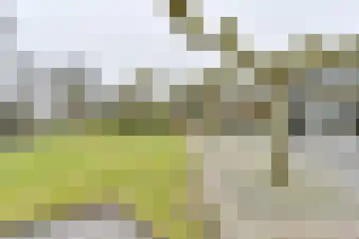 Snippenveld 15 Emmen thumbnail 93