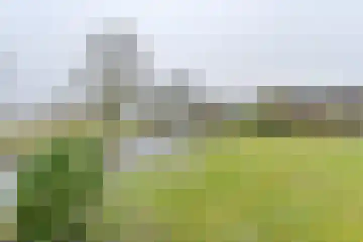 Snippenveld 15 Emmen thumbnail 96