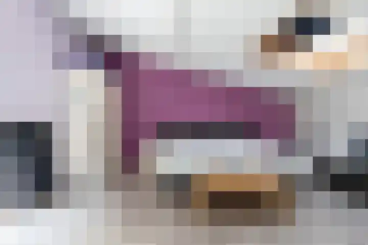 Snippenveld 26 Emmen thumbnail 23