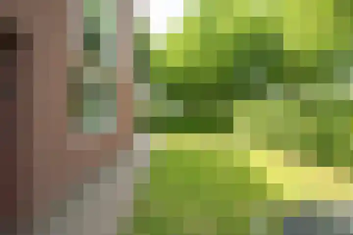 Snippenveld 26 Emmen thumbnail 29