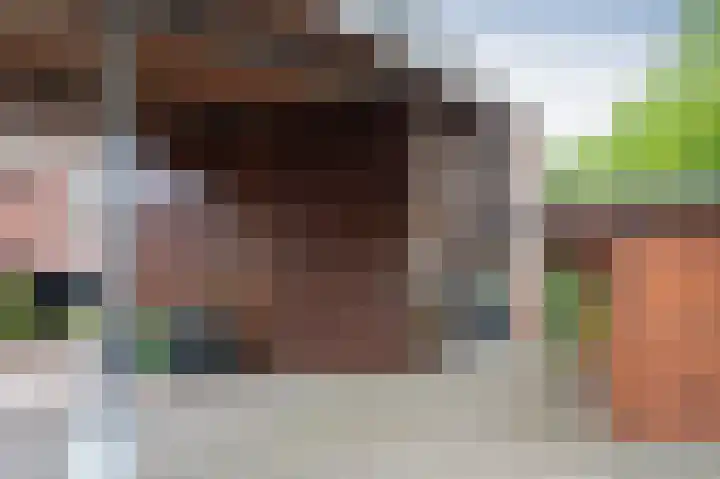 Snippenveld 26 Emmen thumbnail 33