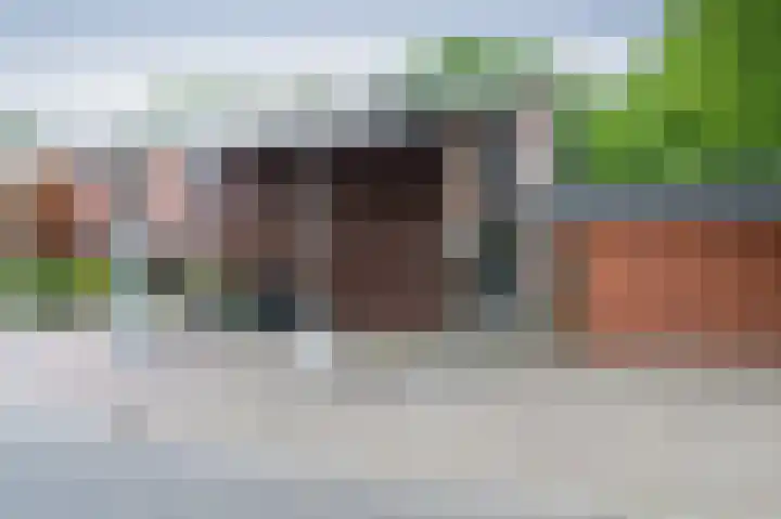 Snippenveld 26 Emmen thumbnail 34
