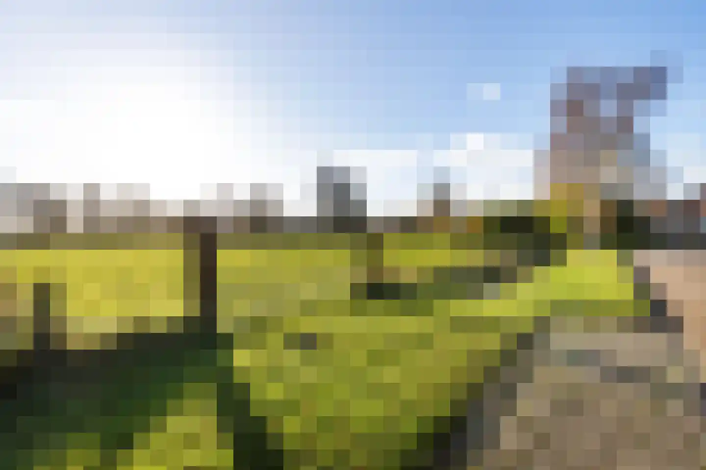 Snippenveld 26 Emmen thumbnail 35