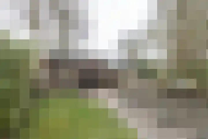 Snippenveld 26 Emmen thumbnail 5