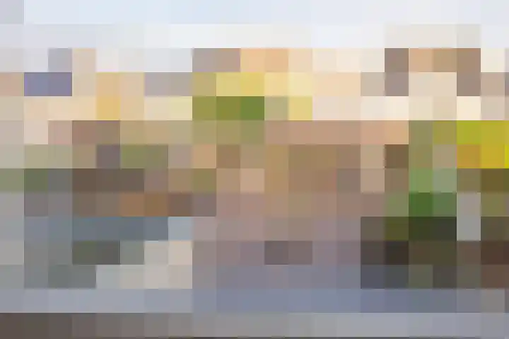 Snippenveld 3 Emmen thumbnail 28