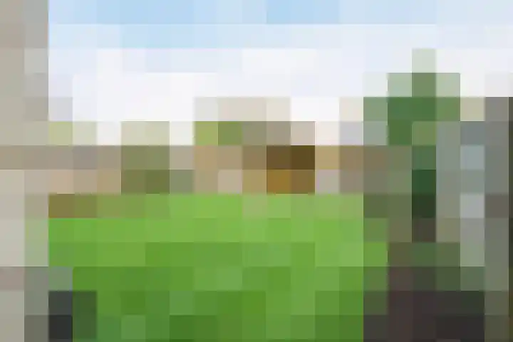 Snippenveld 3 Emmen thumbnail 34
