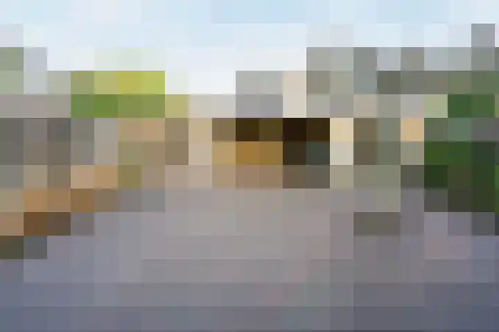 Snippenveld 3 Emmen thumbnail 35