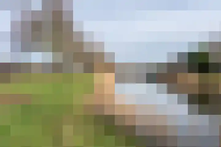 Snippenveld 3 Emmen thumbnail 43