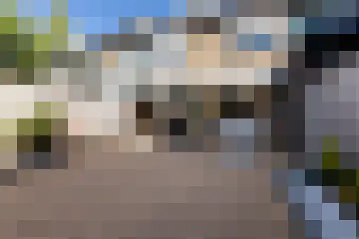 Snippenveld 3 Emmen thumbnail 46
