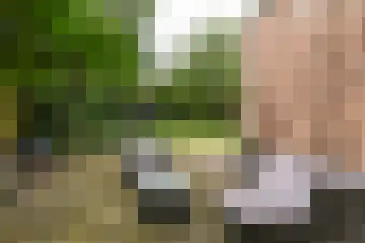 Snoek 1 Blaricum thumbnail 17