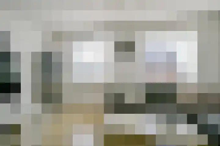 Snoek 3 Schagen thumbnail 12