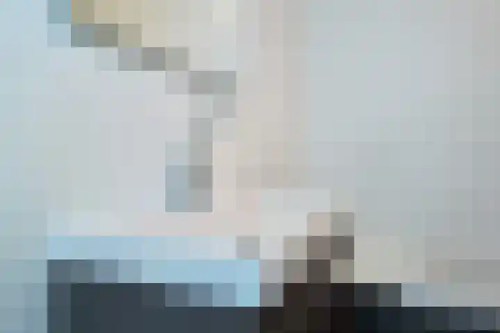 Snoek 3 Schagen thumbnail 16