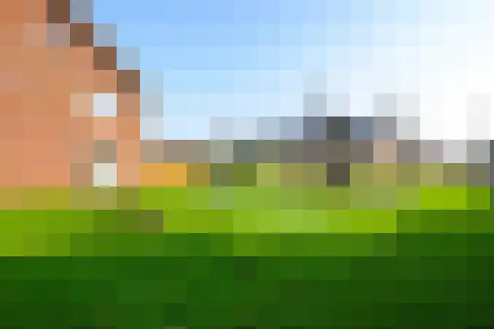 Snoek 3 Schagen thumbnail 24