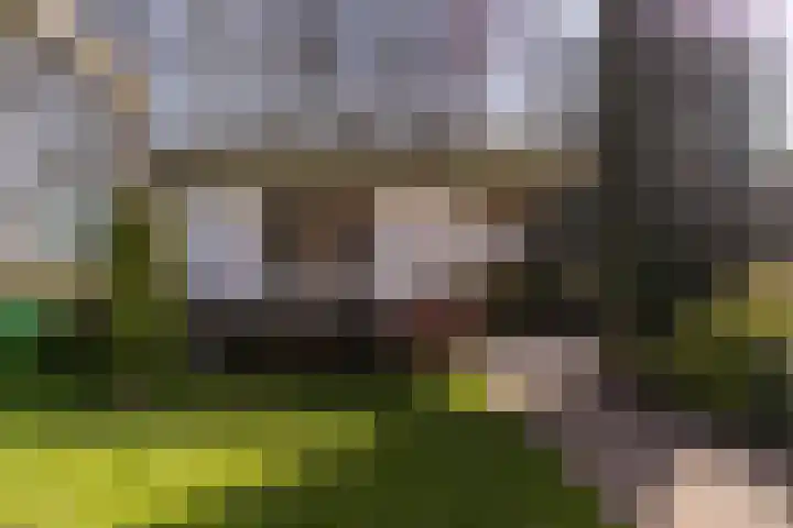 Snoek 3 Schagen thumbnail 5