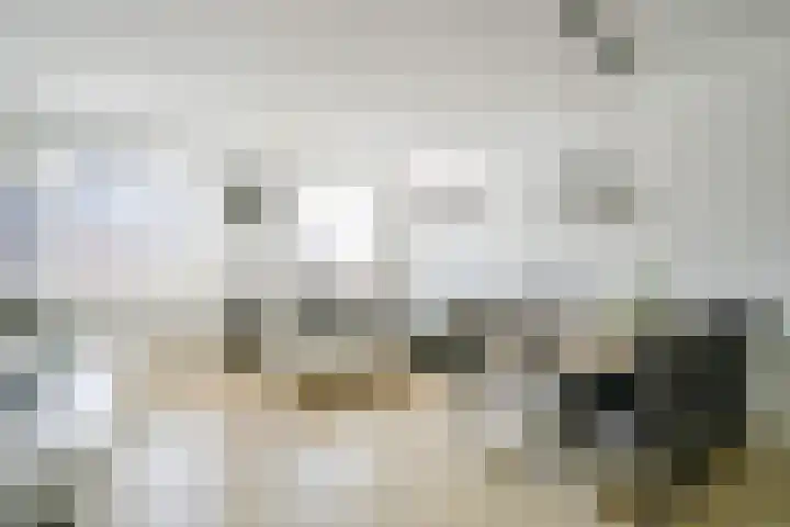 Snoek 3 Schagen thumbnail 7