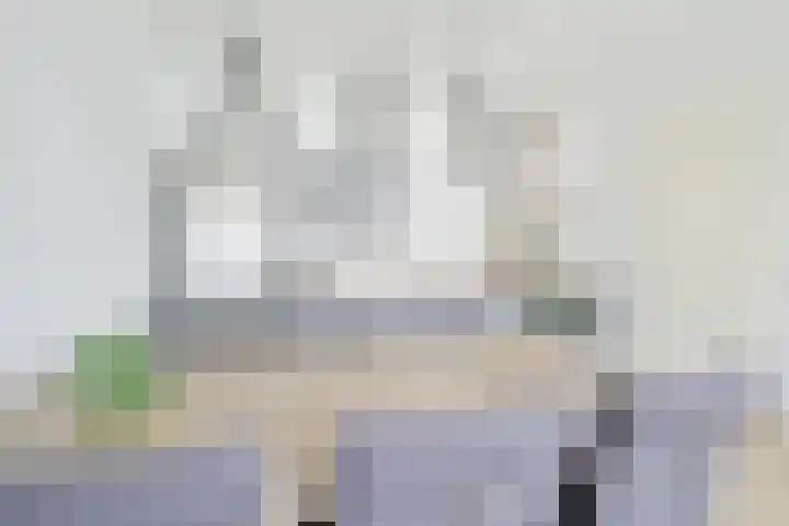Snoek 3 Schagen thumbnail 9