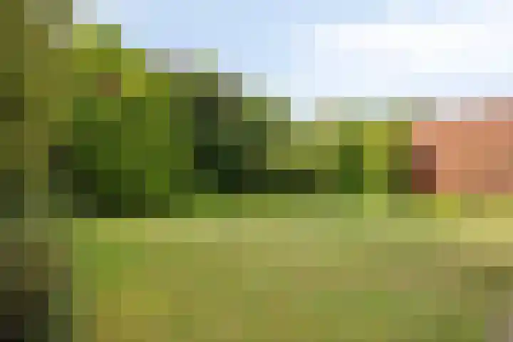 Snoekborch 9 Rosmalen thumbnail 13
