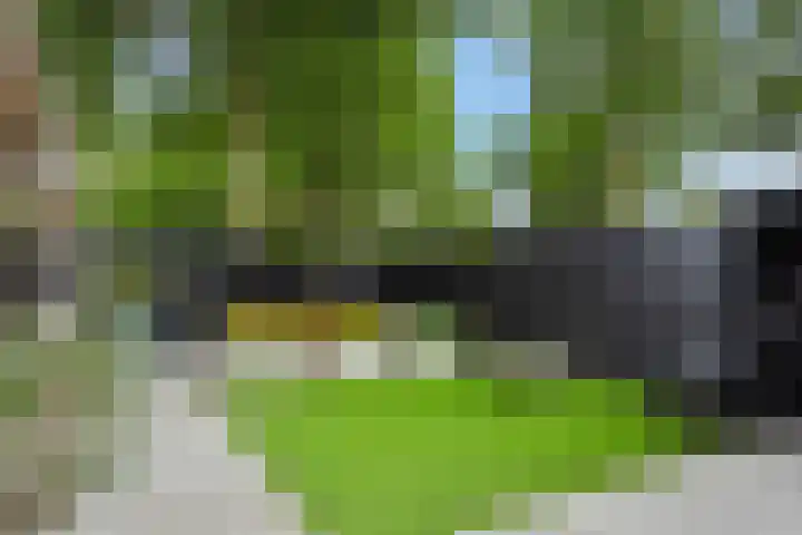 Snoekborch 9 Rosmalen thumbnail 18