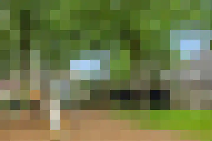 Snoekborch 9 Rosmalen thumbnail 47