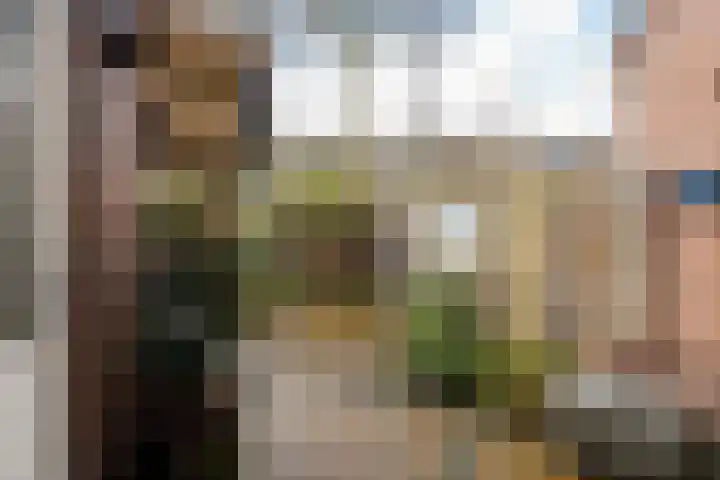 Snoeksloot 53 Zoetermeer thumbnail 24
