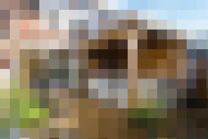 Snoeksloot 53 Zoetermeer thumbnail 27