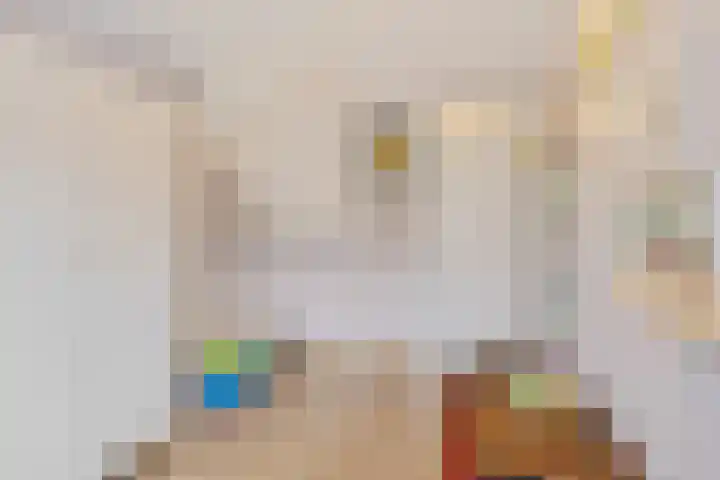 Snoeksloot 53 Zoetermeer thumbnail 37