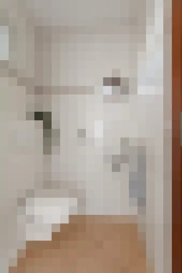 Kantoor foto van Snoep Makelaardij