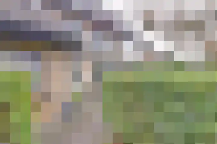 Snoertsebaan 40 Deurne thumbnail 6