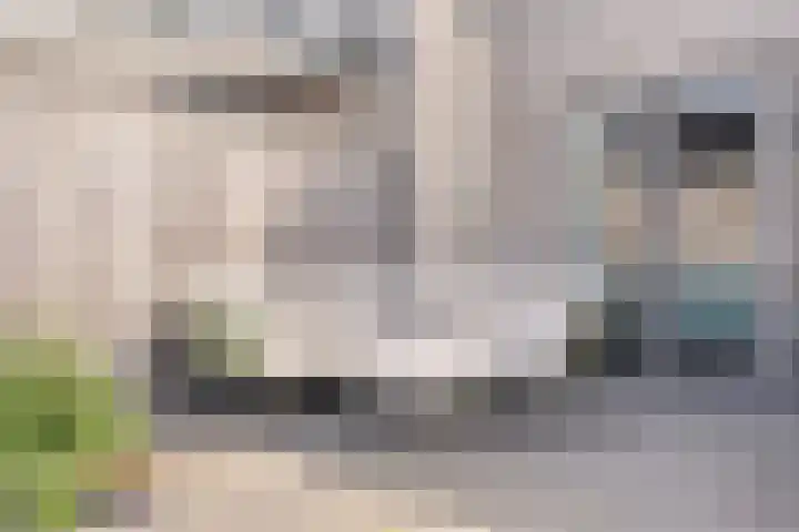 Snuitlibel 5 Son en Breugel thumbnail 32