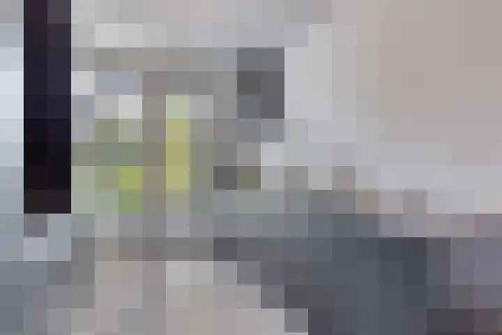 Snuitlibel 5 Son en Breugel thumbnail 9