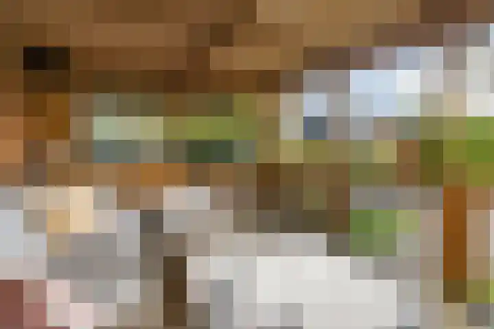 Socrateshof 16 Huizen thumbnail 23
